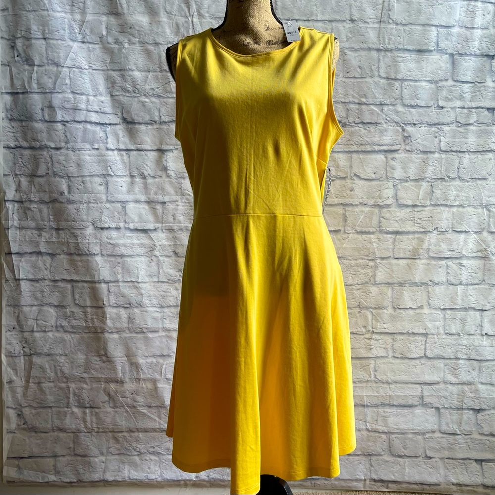 NEW Sleeveless New York & Company Dress